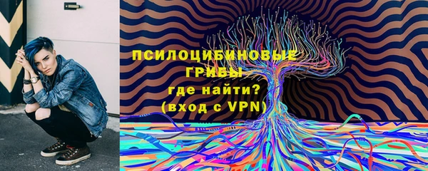кокс Арсеньев