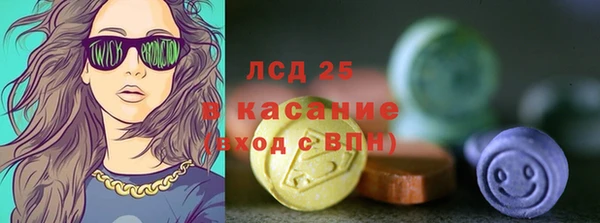 стаф Аркадак