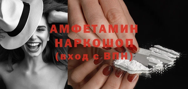 стаф Аркадак