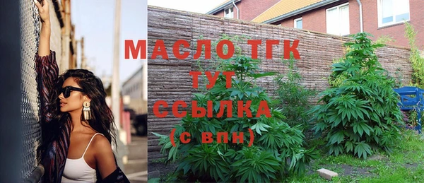 стаф Аркадак