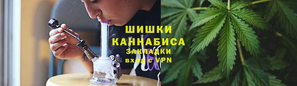 кокс Арсеньев