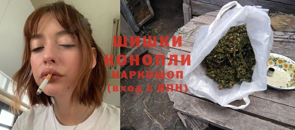 стаф Аркадак