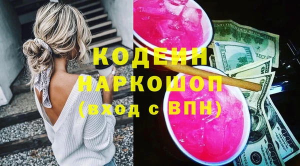 индика Алзамай