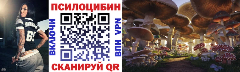 Псилоцибиновые грибы мухоморы  Спасск 