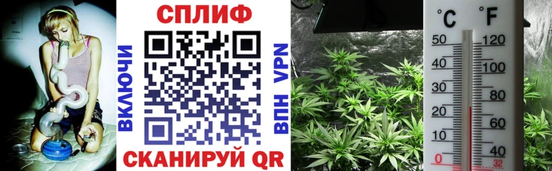 ОМГ ОМГ зеркало  Спасск  Конопля OG Kush 
